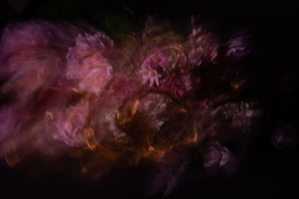 Flower Series (2026)
