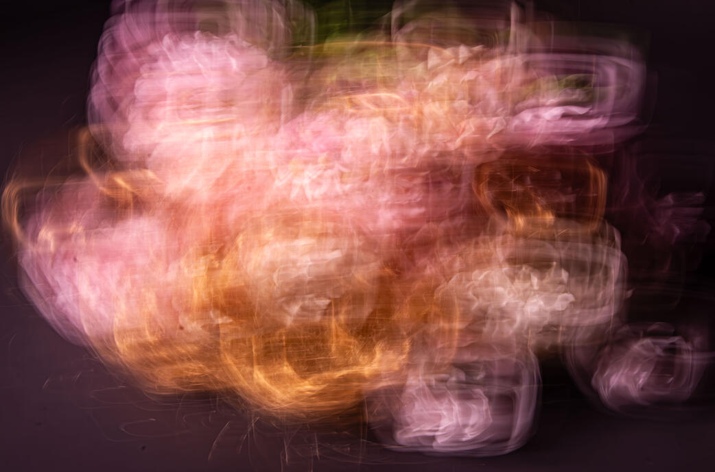 Flower Series (2026)