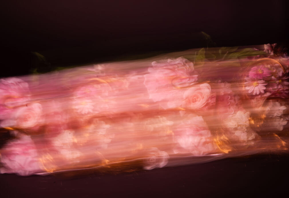 Flower Series (2026)