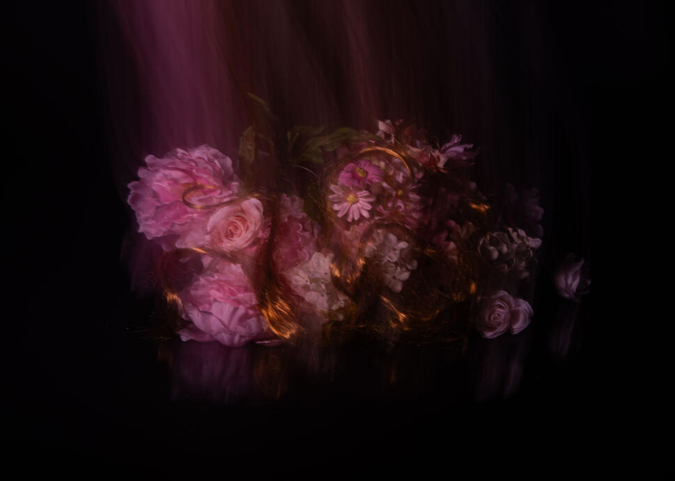Flower Series (2026)